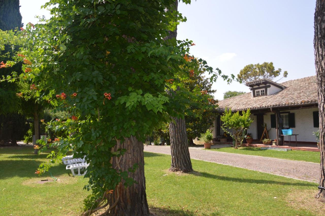B&B Villa Lupidi Corridonia Dış mekan fotoğraf