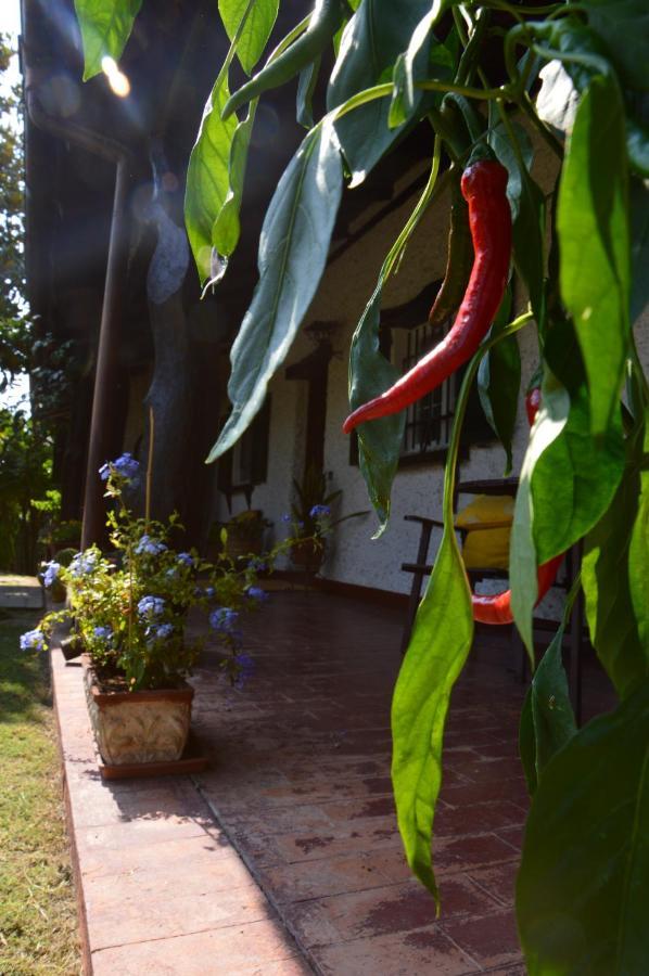 B&B Villa Lupidi Corridonia Dış mekan fotoğraf