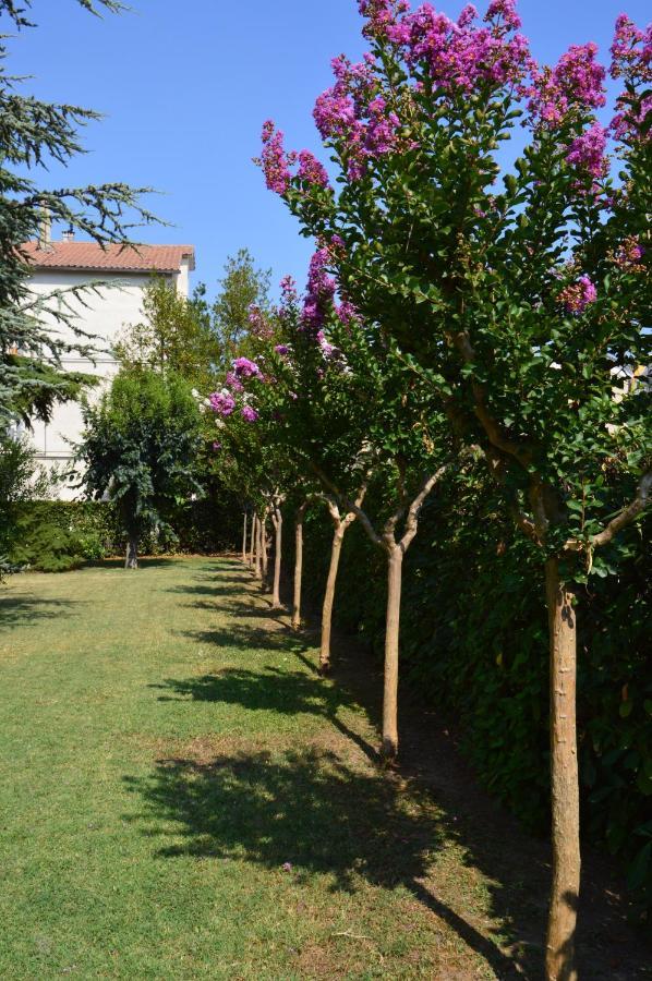 B&B Villa Lupidi Corridonia Dış mekan fotoğraf