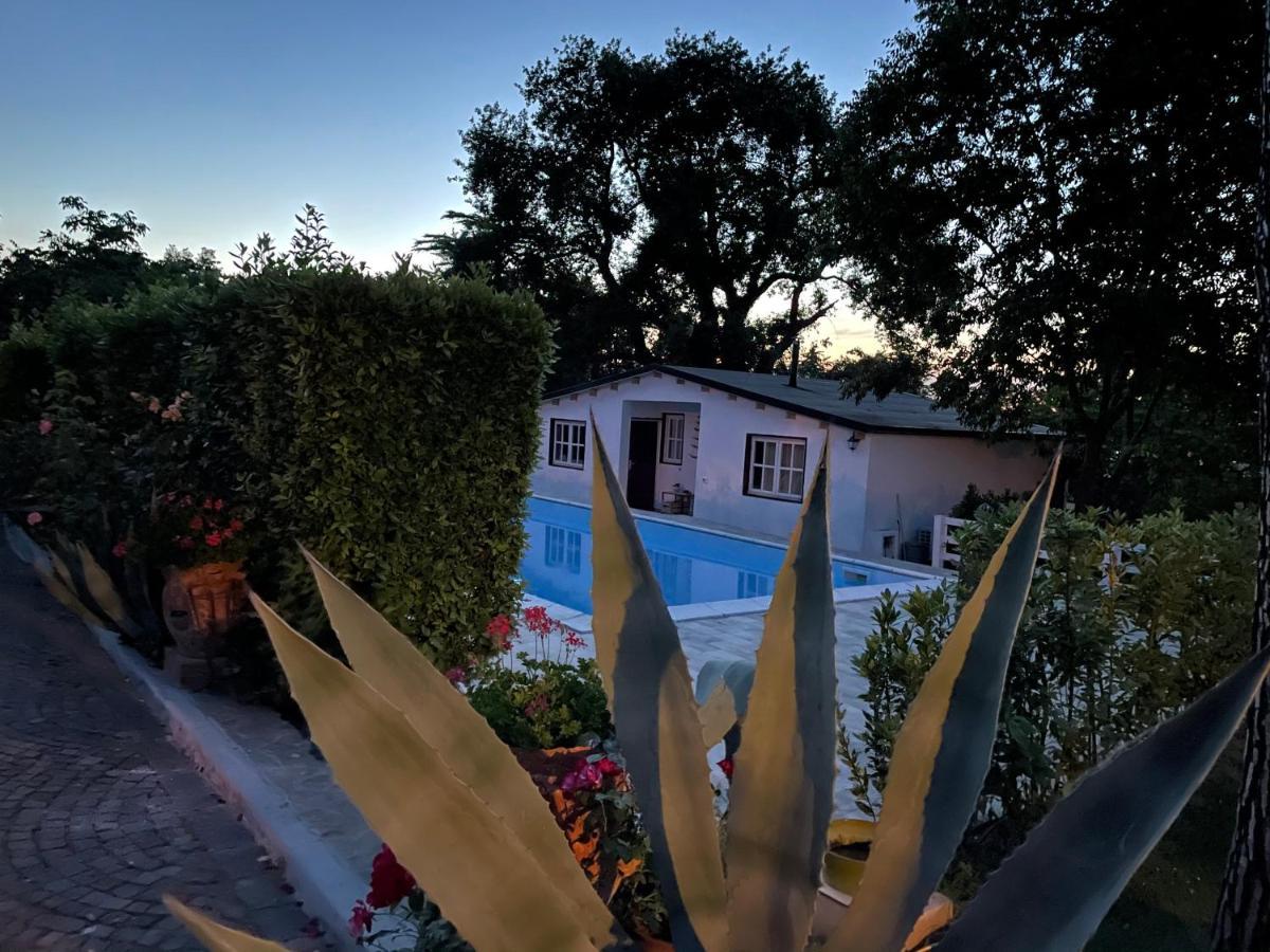B&B Villa Lupidi Corridonia Dış mekan fotoğraf