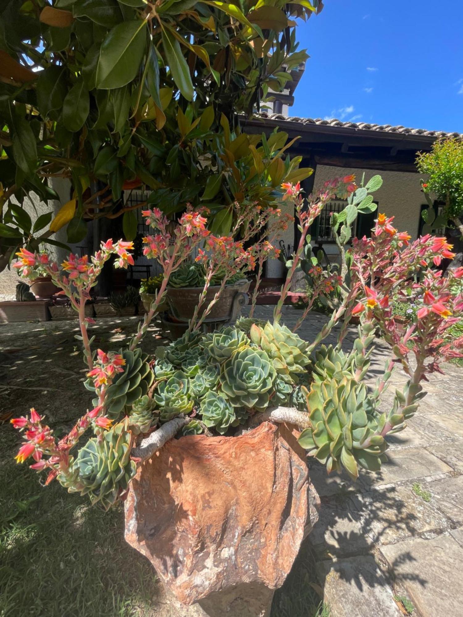 B&B Villa Lupidi Corridonia Dış mekan fotoğraf
