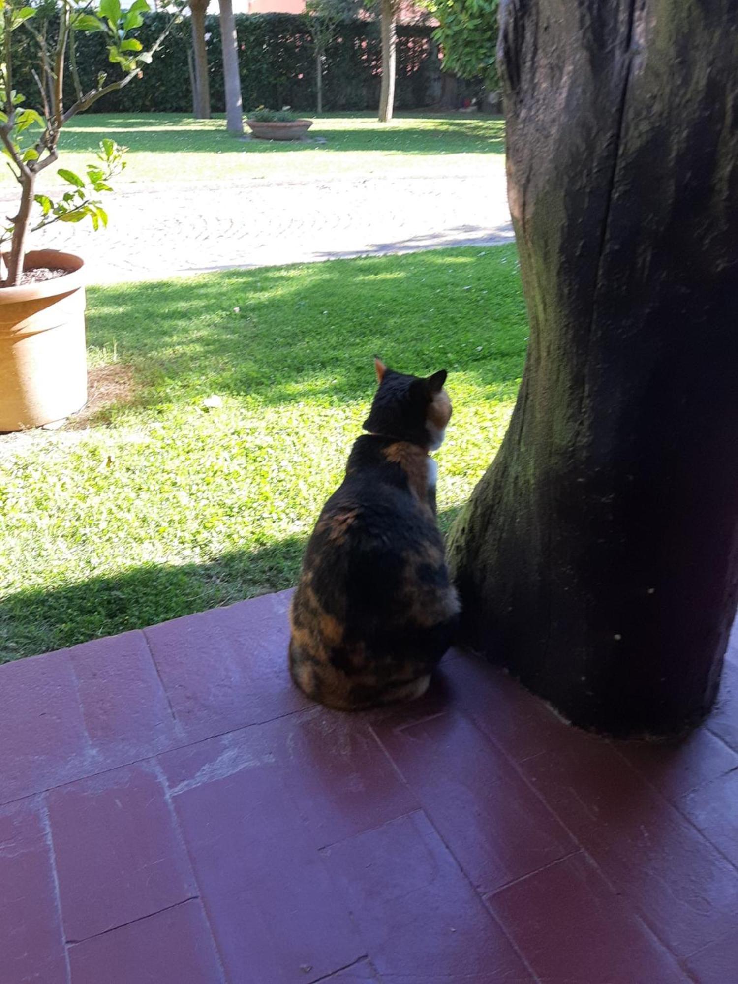 B&B Villa Lupidi Corridonia Dış mekan fotoğraf